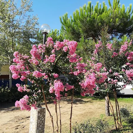 Οργανωμένο κάμπινγκ Country Camp Paradiso *