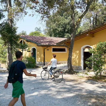 Country Camp Paradiso * Βιαρέτζιο